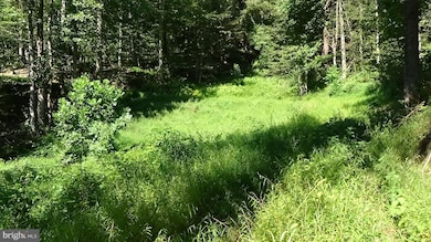 0 Veterans Way unit PAPY2008088, Elliottsburg, PA 17024 - photo 7