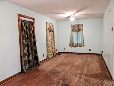 9316 Osmo St, Kaleva, MI 49645 - photo 5