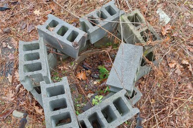 unlisted-address, Middleburgh, NY 12122 - photo 3