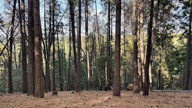 19045 Pine Dr, Pioneer, CA 95666 - photo 7