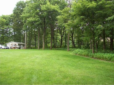 Yard/Garden.