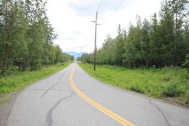 Tazlina Drive