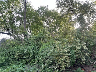 10401 Kenilworth Ave, Algonquin, IL 60102 - photo 7