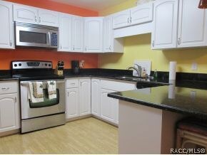 Kitchen View 2