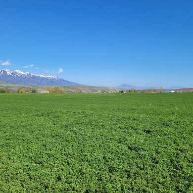 377 E 8900 S, Paradise, UT 84328 - photo 6