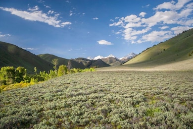 004_tbd_east_fork_road_lot_6_hailey_id_8