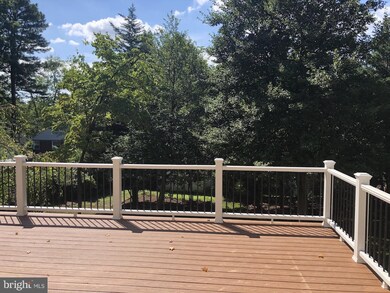 517 Meridian St, Falls Church, VA 22046 - photo 4