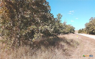 2565 Five Mile & Hwy 95 Rd, Flatonia, TX 78941 - photo 2