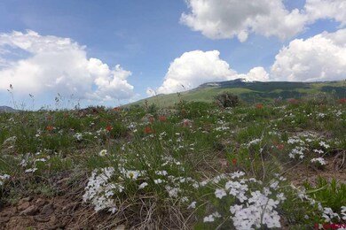 0 Round Mountain Rd unit 741386, Crested Butte, CO 81224 - photo 3