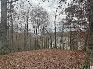 250 Cindy Dr, Murray, KY 42071 - photo 2