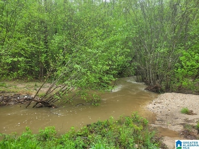 755 Pine Ridge Rd, Sylacauga, AL 35151 - photo 2