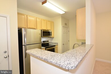 22607 Blue Elder Terrace unit 204, Ashburn, VA 20148 - photo 6