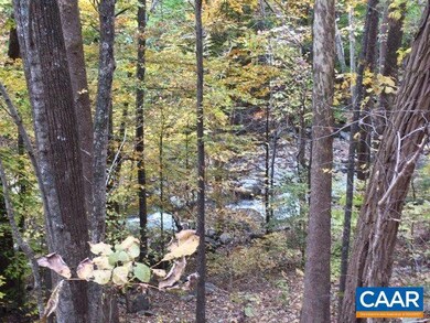 TBD Crabtree Falls Hwy, Tyro, VA 22976 - photo 7