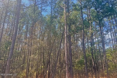 1.5 Acres Barton Agricola, Lucedale, MS 39452 - photo 6