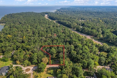 TBD Lake Oaks Cir unit 79-80, Coldspring, TX 77331 - photo 4