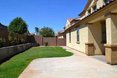 Backyard 1