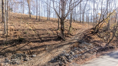 1548 Rabe Coats Rd, Westmoreland, TN 37186 - photo 3