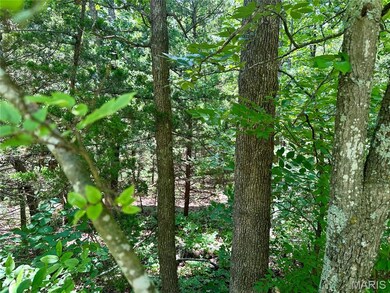 TBD Bluebird Ln, Rolla, MO 65401 - photo 6