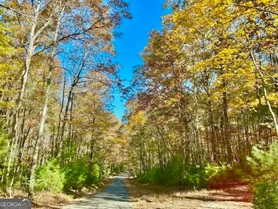 156 Peter Knob Rd, Blue Ridge, GA 30513 - photo 2