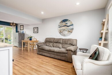 Vinyl Plank Flooring