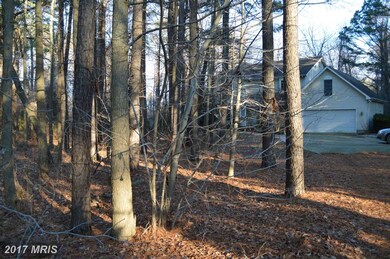 224 Tyler Ave, Saint Michaels, MD 21663 - photo 3