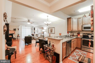 8615 Fluttering Leaf Trail unit 201, Odenton, MD 21113 - photo 7