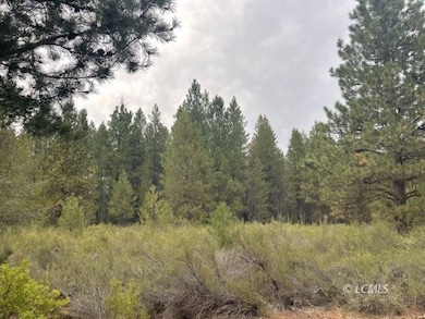 0 Oregon 140, Klamath Falls, OR 97601 - photo 4