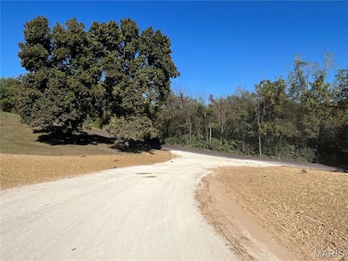 23 (Lot 2) Autumn Ridge Dr, Elsberry, MO 63343 - photo 3