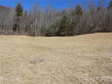 00 Will Anglin Rd, Price Creek, NC 28714 - photo 7