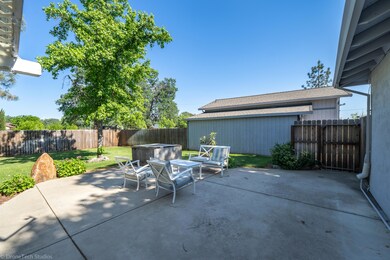 back yard