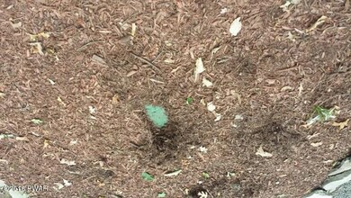 11 4th St, Hawley, PA 18428 - photo 7