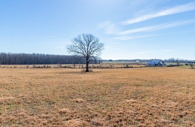 Level lot with back fenced