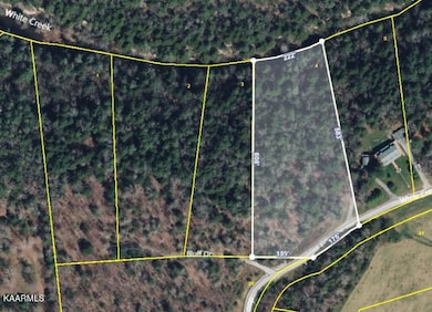 Larger Lot