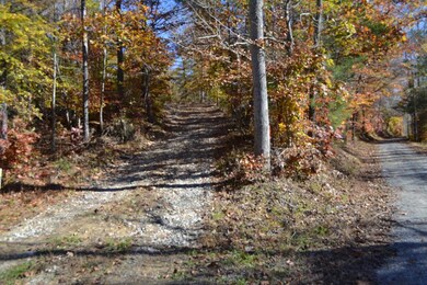 28.30ac Whitson Hollow Rd, Red Boiling Springs, TN 37150 - photo 3