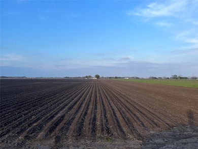 12222 Williams School Rd, Needville, TX 77461 - photo 6