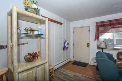 370 E La Bonte St unit 502, Dillon, CO 80435 - photo 3