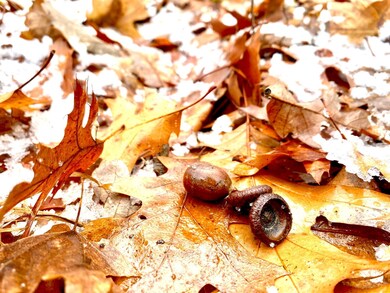 TBD-40AC Highway 27, Onamia, MN 56359 - photo 5