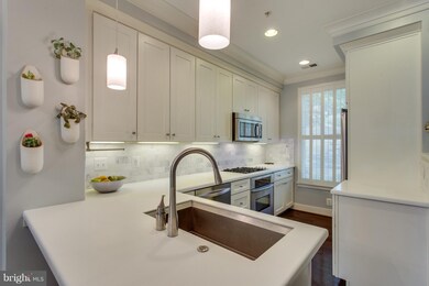 808 Montgomery St, Alexandria, VA 22314 - photo 3