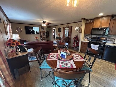 203 2nd St, Vining, IA 52348 - photo 6