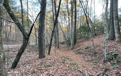 Additional View