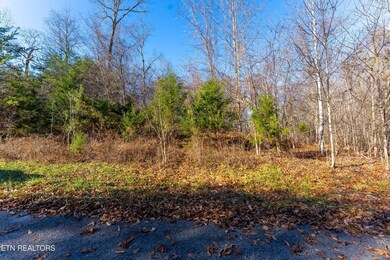 919 Sparrow Way, Sharps Chapel, TN 37866 - photo 6