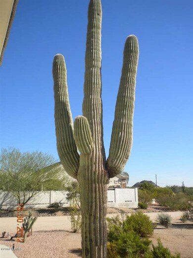 CACTUS