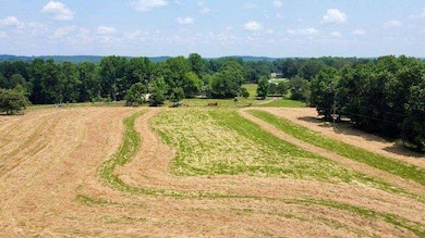 7286 County Line Rd, Lula, GA 30554 - photo 4