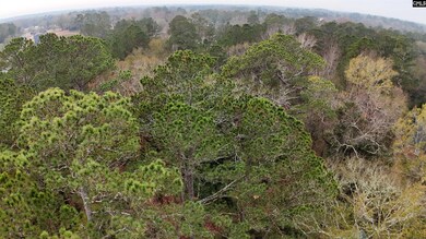 1319 Lake Shore Dr, Camden, SC 29020 - photo 3