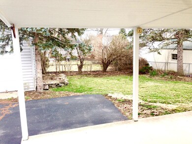 Backyard.jpg
