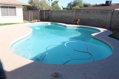 Large diving pool