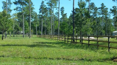 Trees left for shade