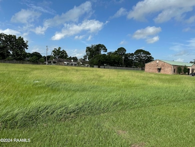 841 W Summers Hwy 14 Dr, Abbeville, LA 70510 - photo 3