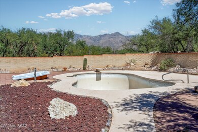 36-Back Yard Views