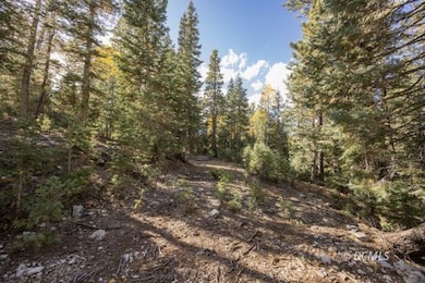 1815 E Beech Craft Dr, Duck Creek Village, UT 84762 - photo 7